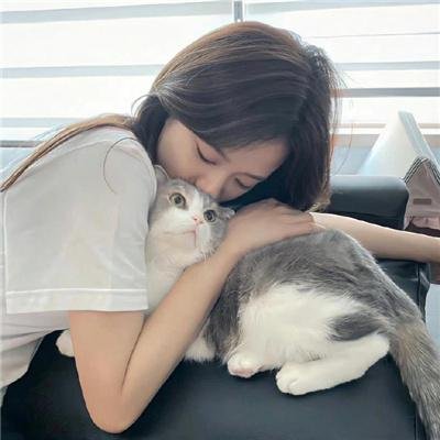 恋爱吧,寨主